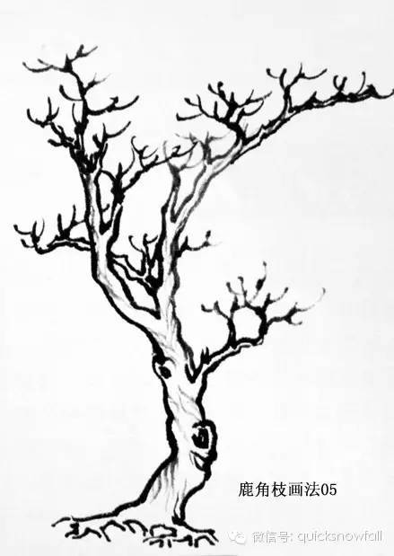 树干画法纹理图片