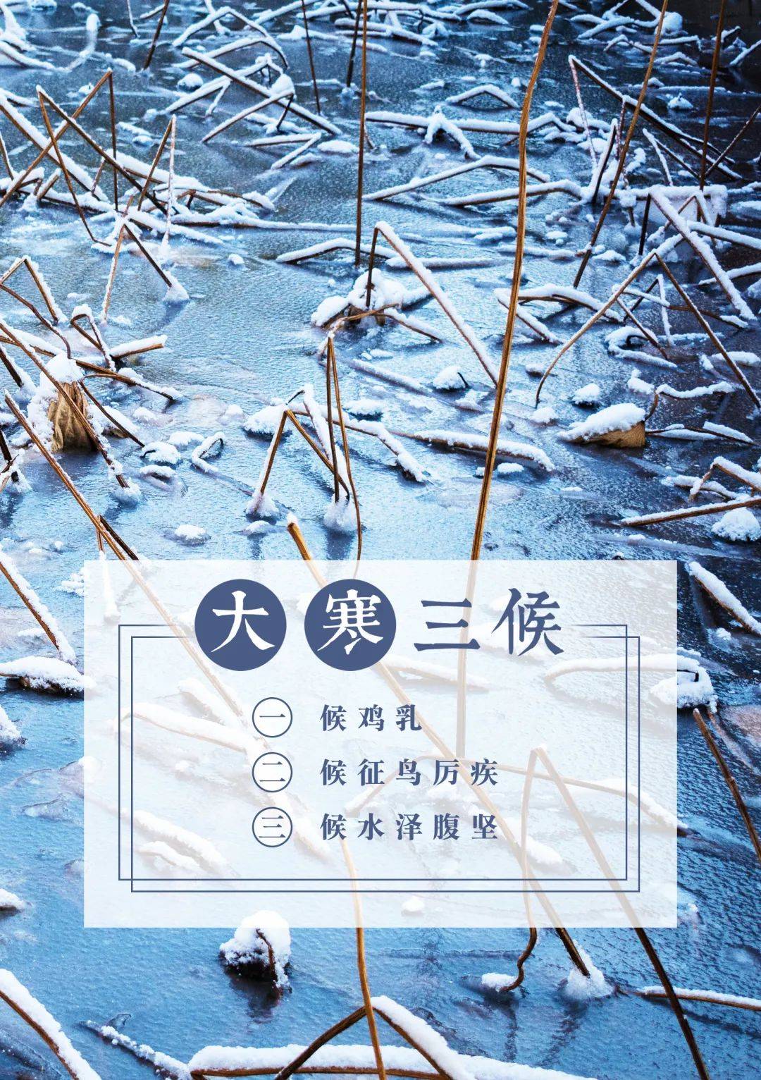 2021年1月20日大寒节气腊八遇大寒再冷的天气在一碗温暖的腊八粥面前