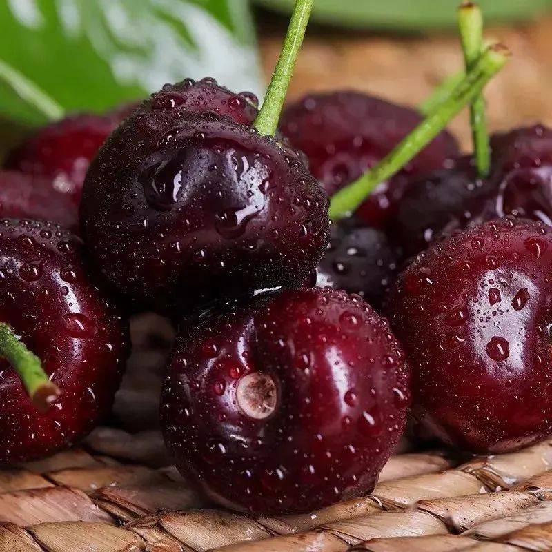 超实惠全城配送无需预约香甜智利lapins车厘子来袭128元享j级车厘子5