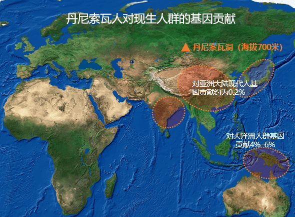 通过与所有的现生人群进行基因对比发现 丹尼索瓦人对于东亚,东南亚