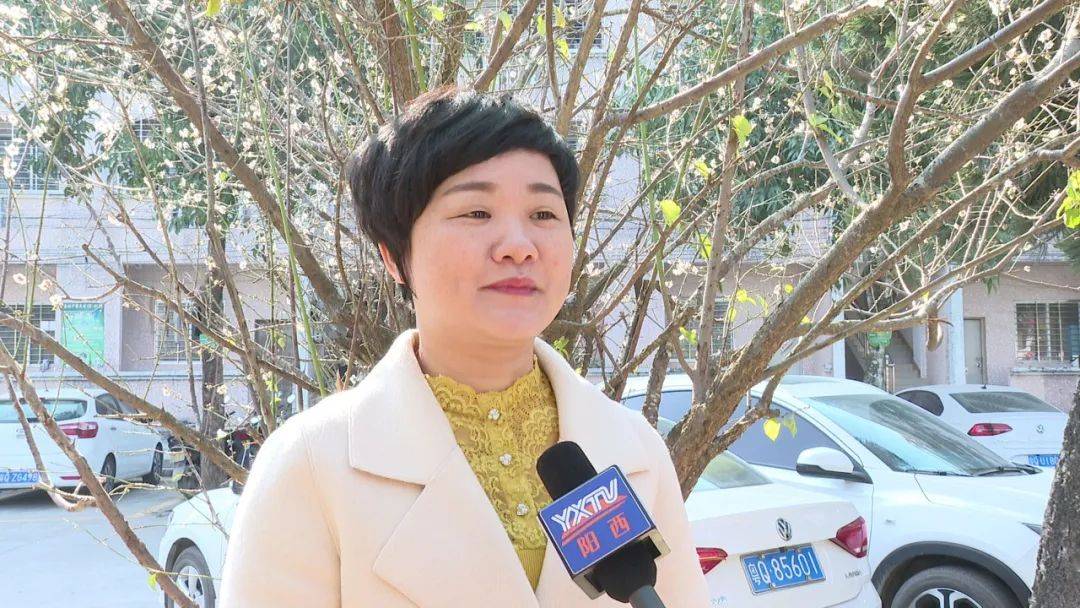 奋兴中学 教务处主任 林彩云:我们学校这个梅亭是为了纪念著名的国画