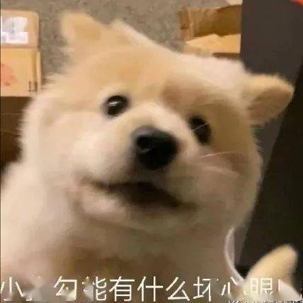 64e37694f870423db6125f3cd6b97469.jpeg