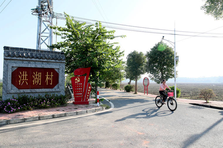 冬日的早晨,冷风吹来阵阵寒意,走在惠州市博罗县麻陂镇洪湖村的村道上