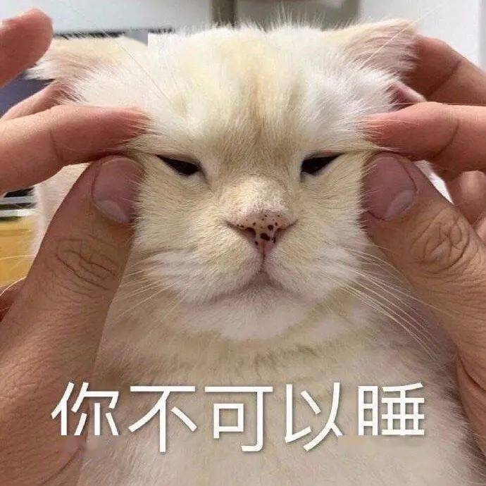 沙雕表情包沙雕猫猫表情包