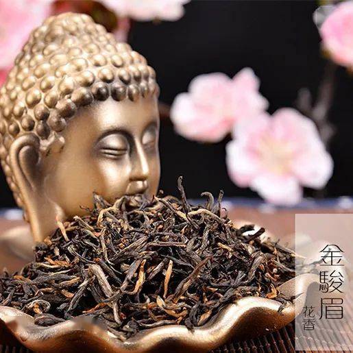 大红袍为什么被称为“茶中之王,万病之药”!