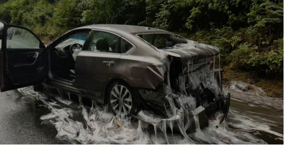 地球上最恶心的生物已存在了5亿年黏液让人看了就想吐