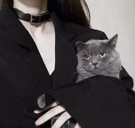 头像抱猫女孩最温柔
