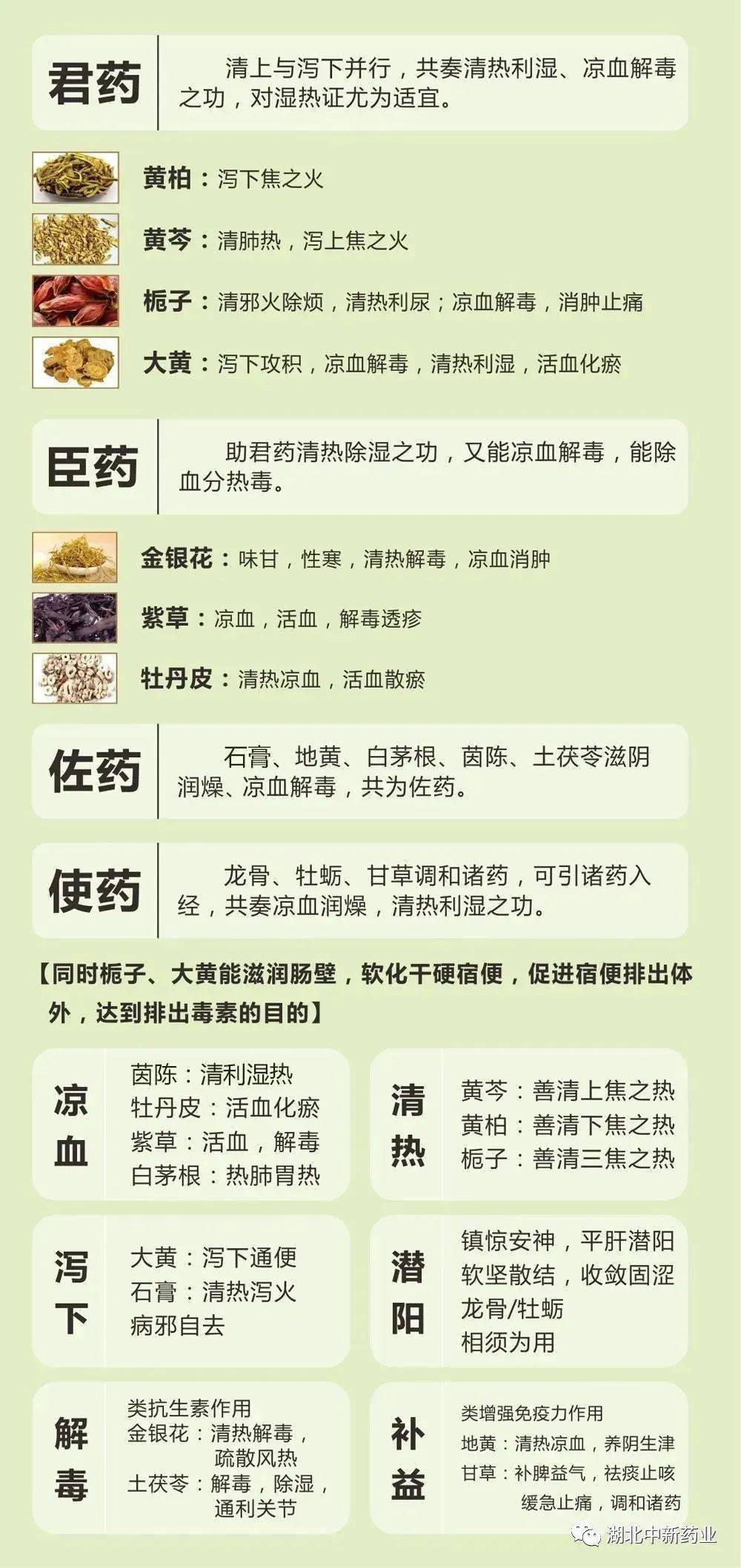 脸上各部位长痘痘图解，找准根源才能解决问题