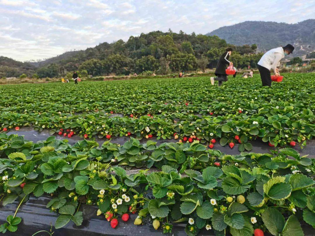 中山亲子好去处附景区优惠游玩攻略
