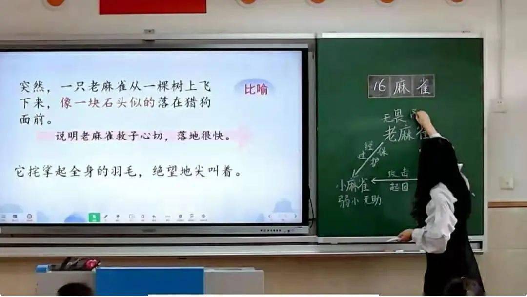 實踐課二至五年級語文教師執教了《海濱小城》,《富饒的西沙群島》