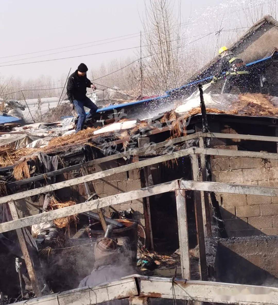 杨桥村一家养猪场失火,在村民与消防队员共同努力下,最终把大火扑灭