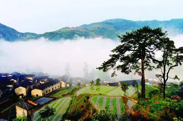 松阳四都气象景观预报11期