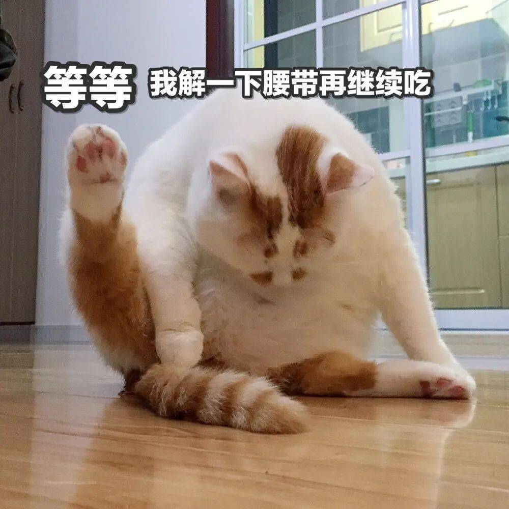 干饭人表情包这就完了