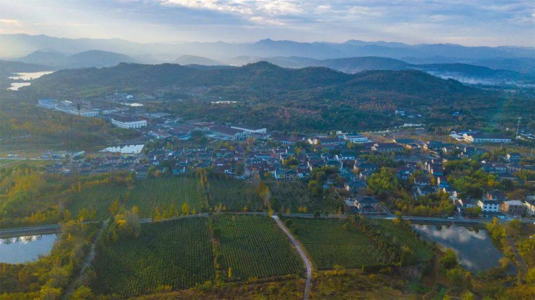 2020年张渚镇的gdp_宜兴张渚镇控规图(2)