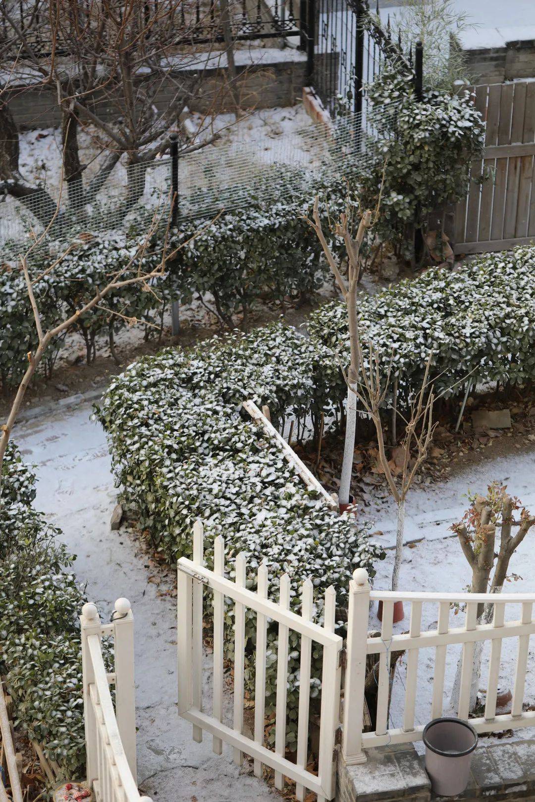 北京｜雪日入宫阙