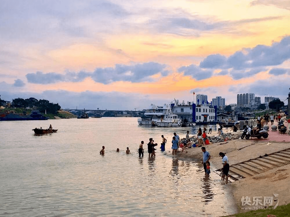 贵港有多少人口_贵港花鸟市场有泰迪