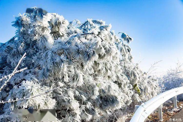 有一种绝美叫做东华山雪景