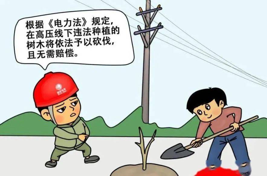 根据《中华人民共和国电力法》,《电力设施保护条例》和《四川省电力