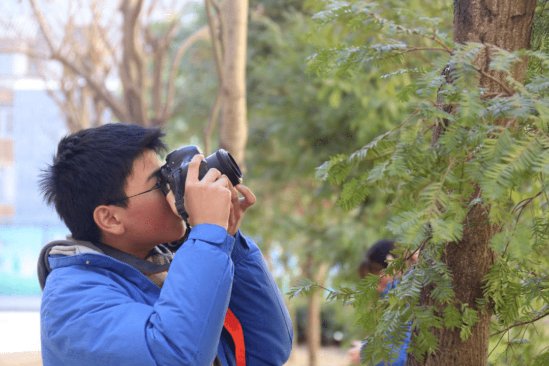 阳光下成长 艺术中绽放_摄影