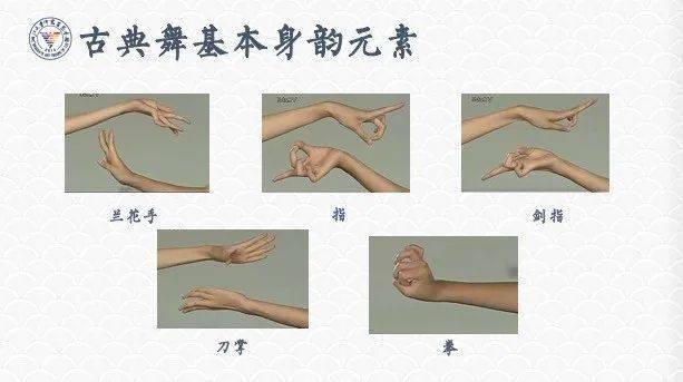 随后详细介绍了古典舞基本身韵元素,主要分为手法「兰花手,指,剑指,拳