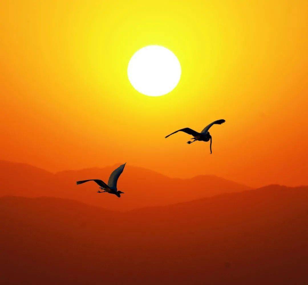 【第778期】河南摄影网影友作品选