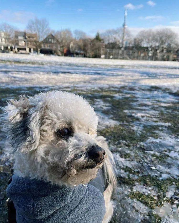 7,《安多》角色信息