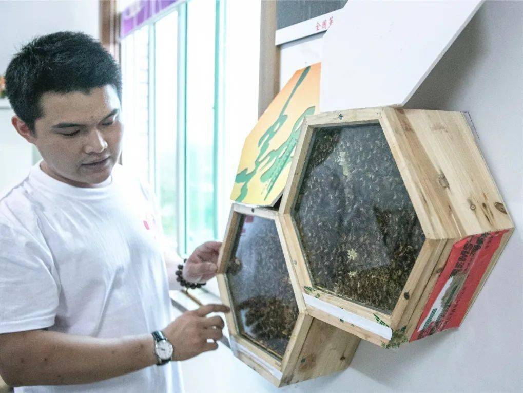福建农林大学蜂学专业前景 福建农林大学蜂学专业前景如何