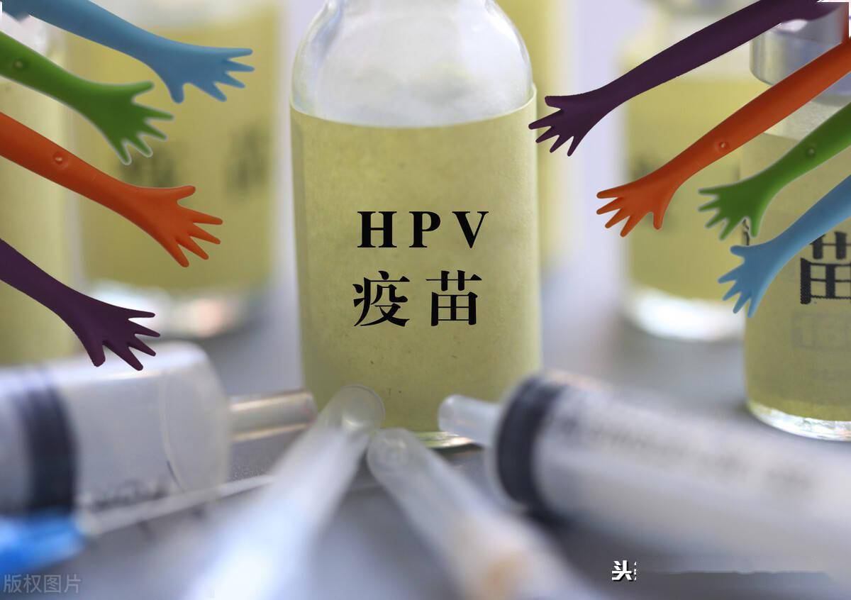 hpv疫苗适合哪些人群 bd2c7543c728412b839bce3986d7f54e.jpeg