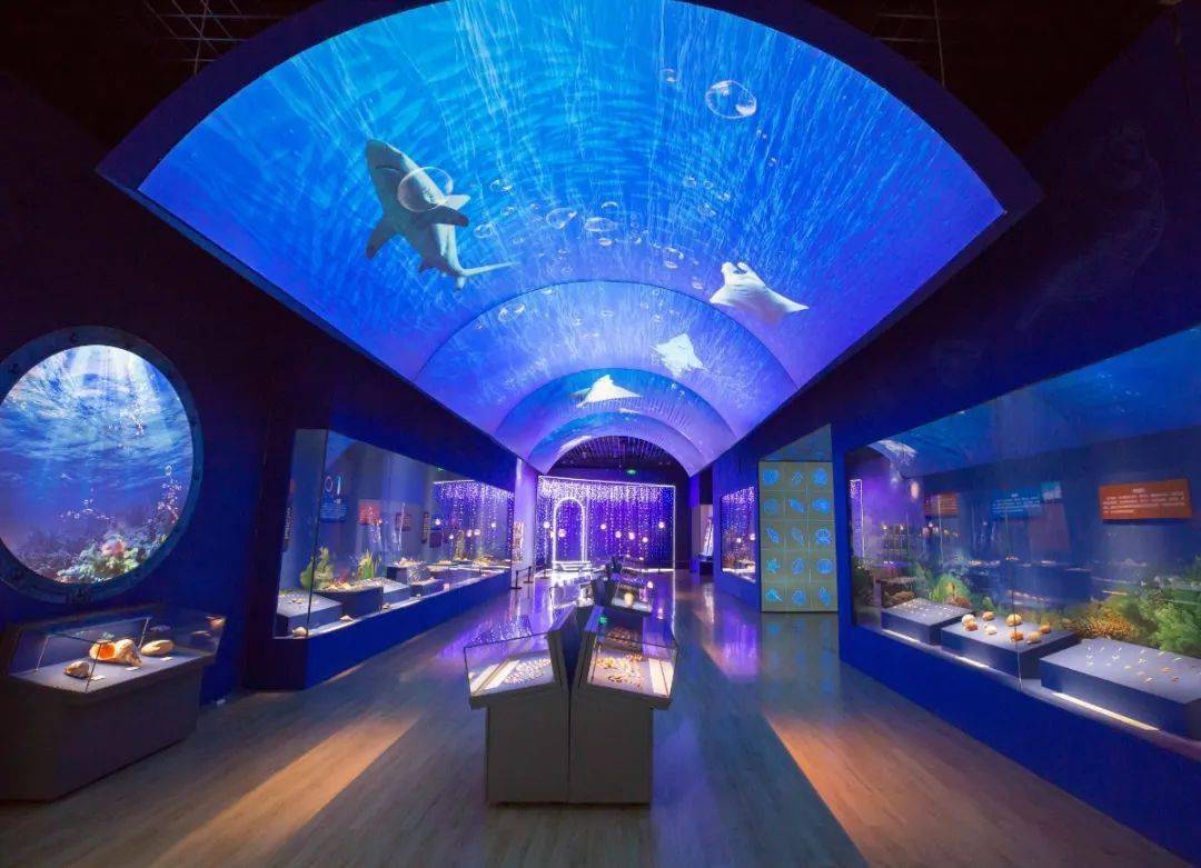 "深蓝色基调的展厅,令人如同置身海洋之中.