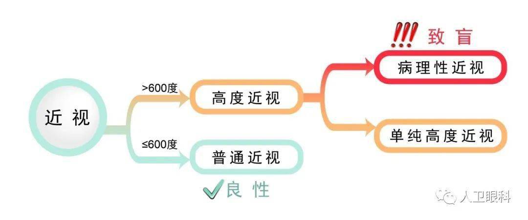 近視眼的分類各類近視眼的結構有什麼不同呢?