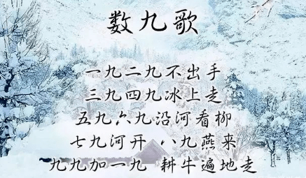 明日进“五九”,应减少进补,不妨多吃这4种食材,迎接春的到来