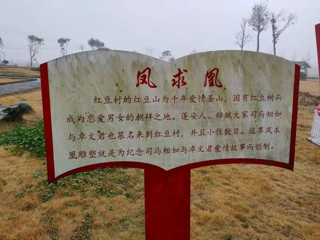 红豆村市民休闲娱乐的好地方_蓬安