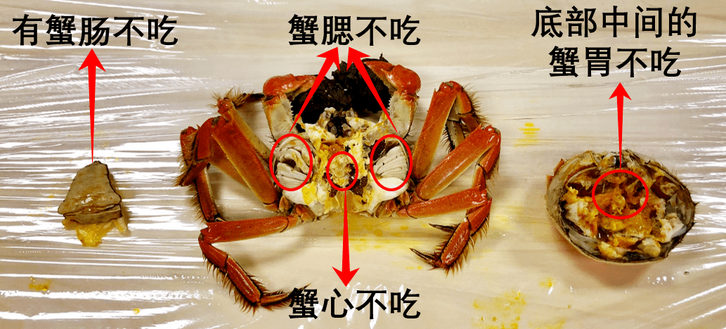 螃蟹这4个部位千万不能吃您吃对了吗