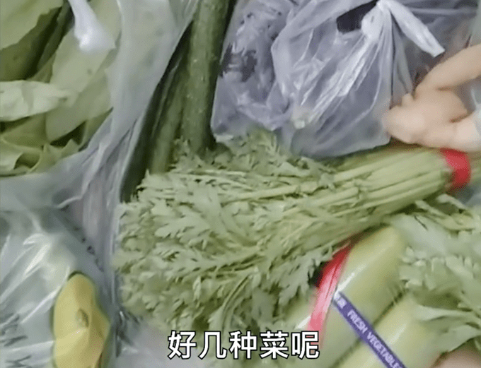 白岩松追问"配送不及时原因在哪",通化市市长这样说