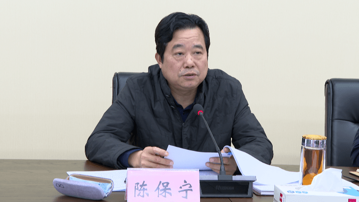 陈保宁在新区工作例会上指出持之以恒抓好九大重点工作以优异成绩向