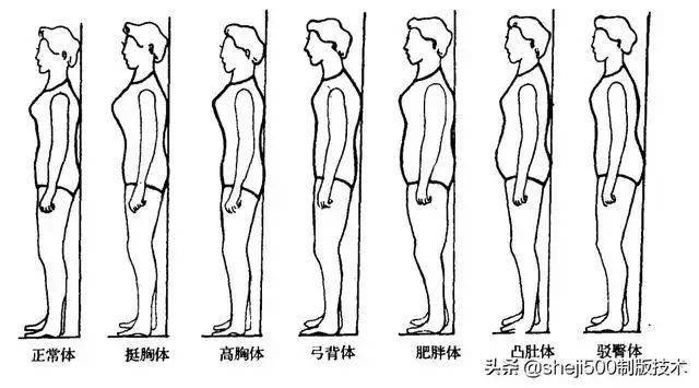 胸腰差体型分类表图片