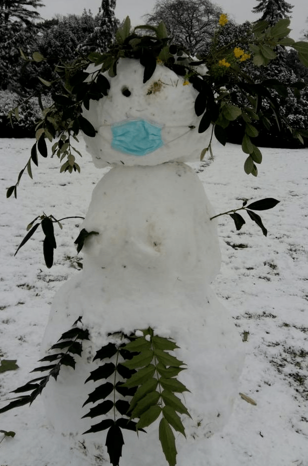 戴防疫口罩的雪人图片图片