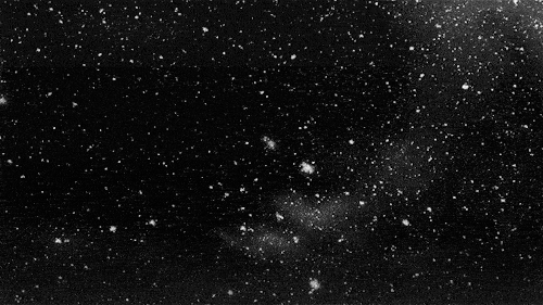 夜晚,在路灯的映射下,雪花随风飘荡,甚是美丽.