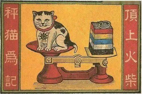 为什么古早广告中经常出现猫？