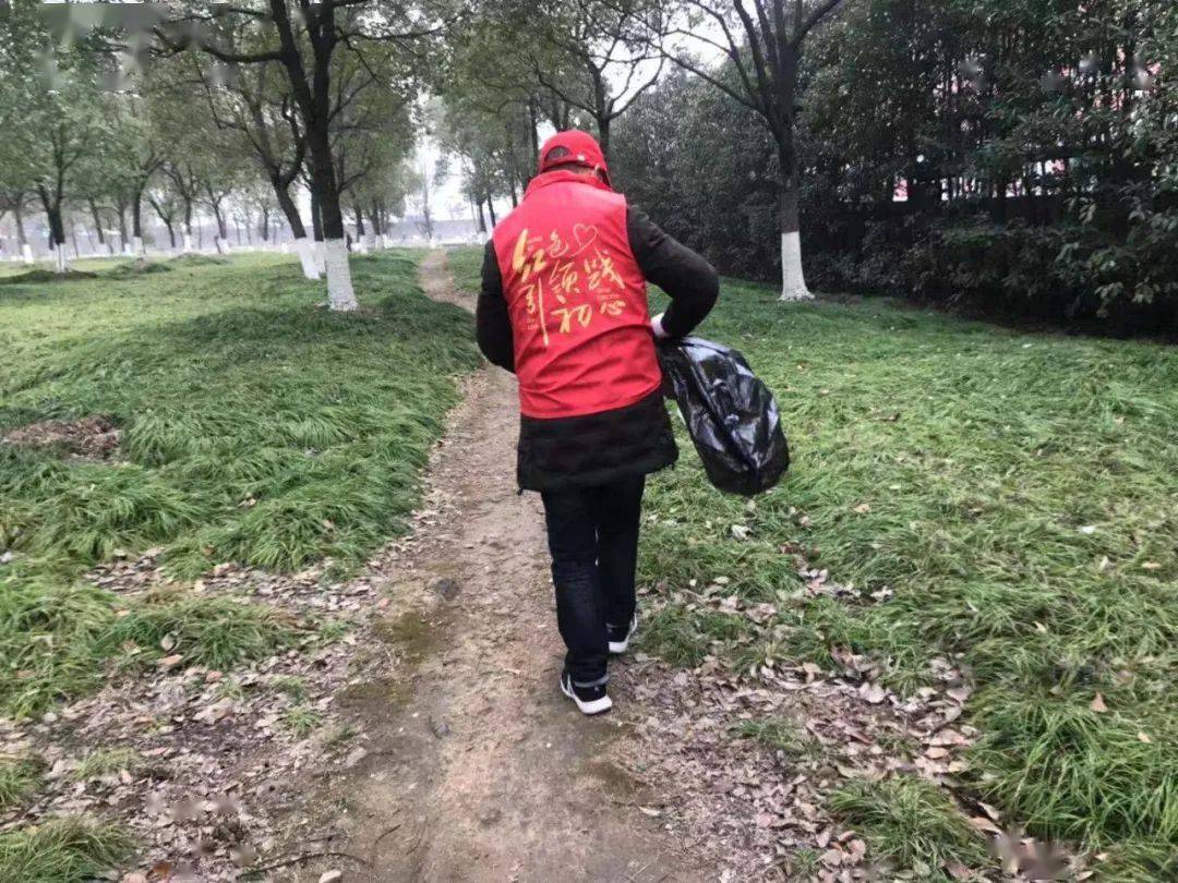 绿色行动你我他