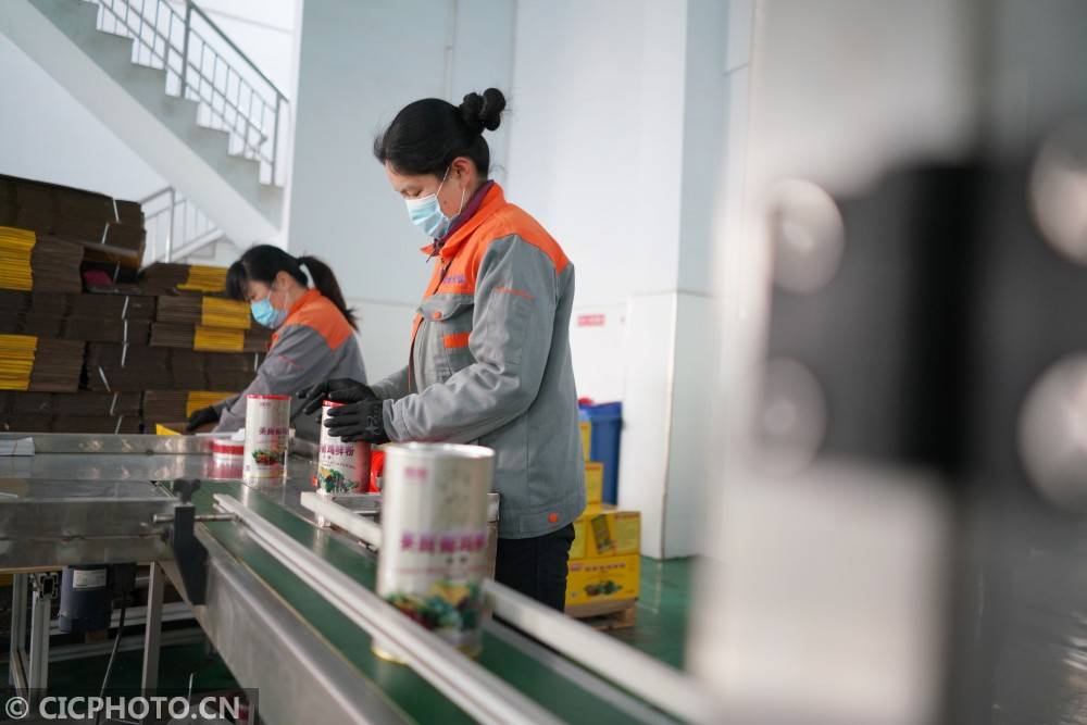 河北内丘:有序复工 赶制订单