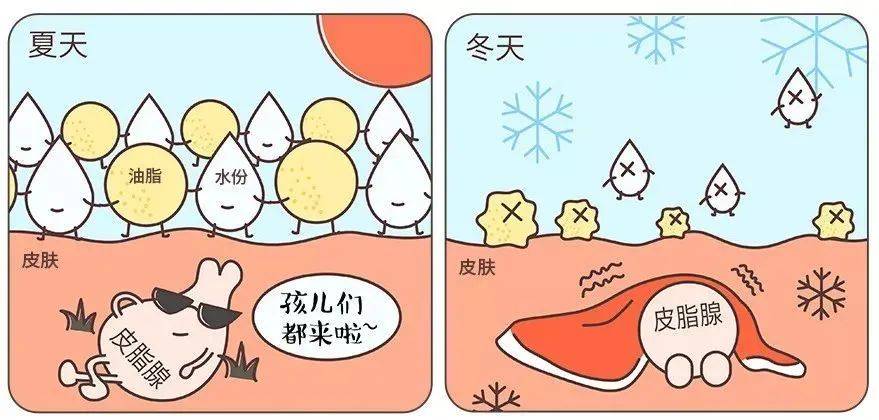 冬季要想皮肤不干燥,劝你先得补点油!_水分