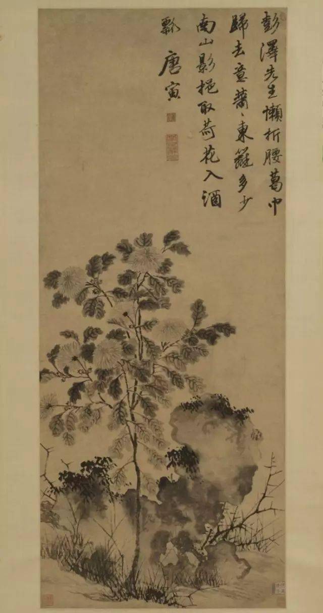 80幅最精彩的菊花图_纸本