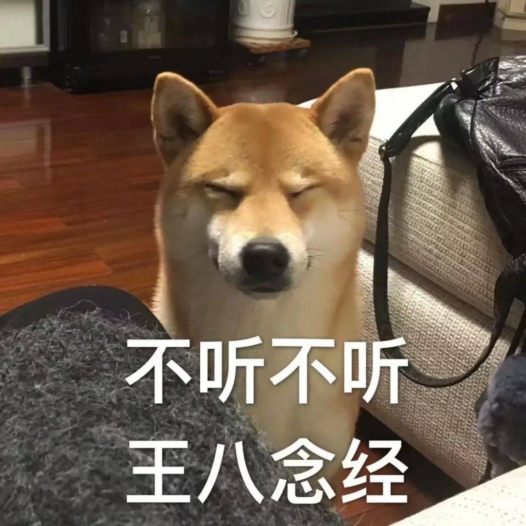 如何一句話證明你養了狗？ 萌趣萌寵 第6张