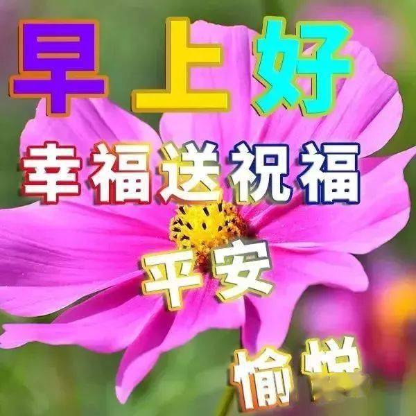 祝福大家早上好的問候語圖片表情合集 早晨好祝福句子簡短_朋友