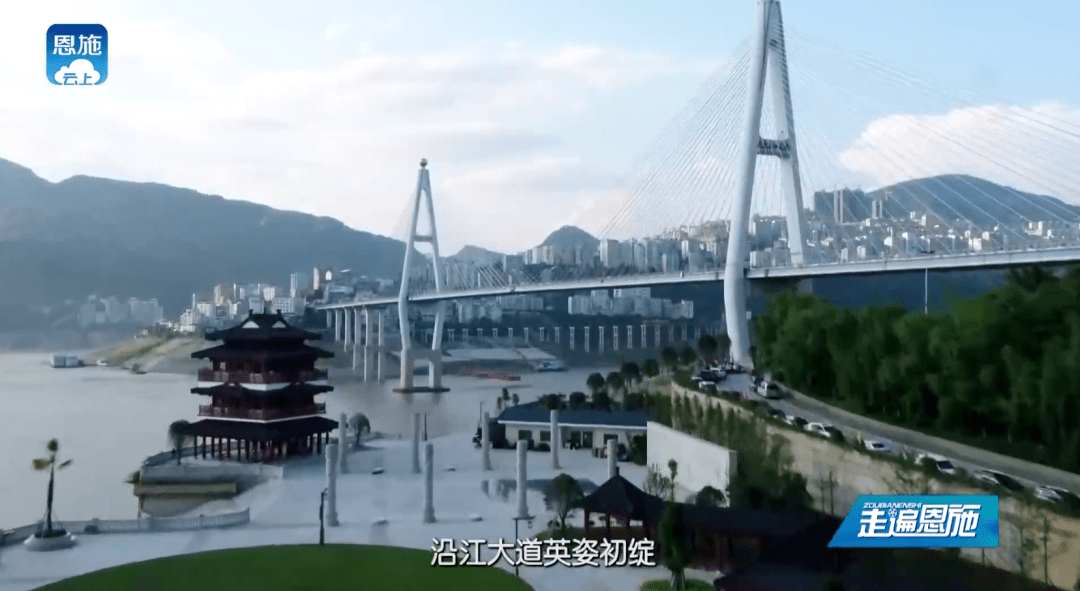 增光镇人口_人口普查(2)