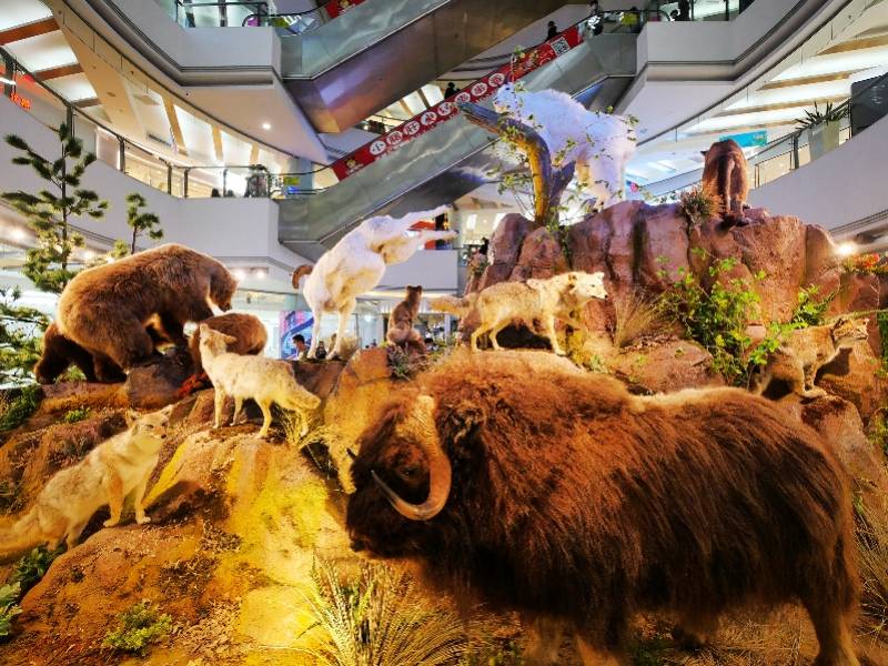 在商场逛动物园是一种什么体验