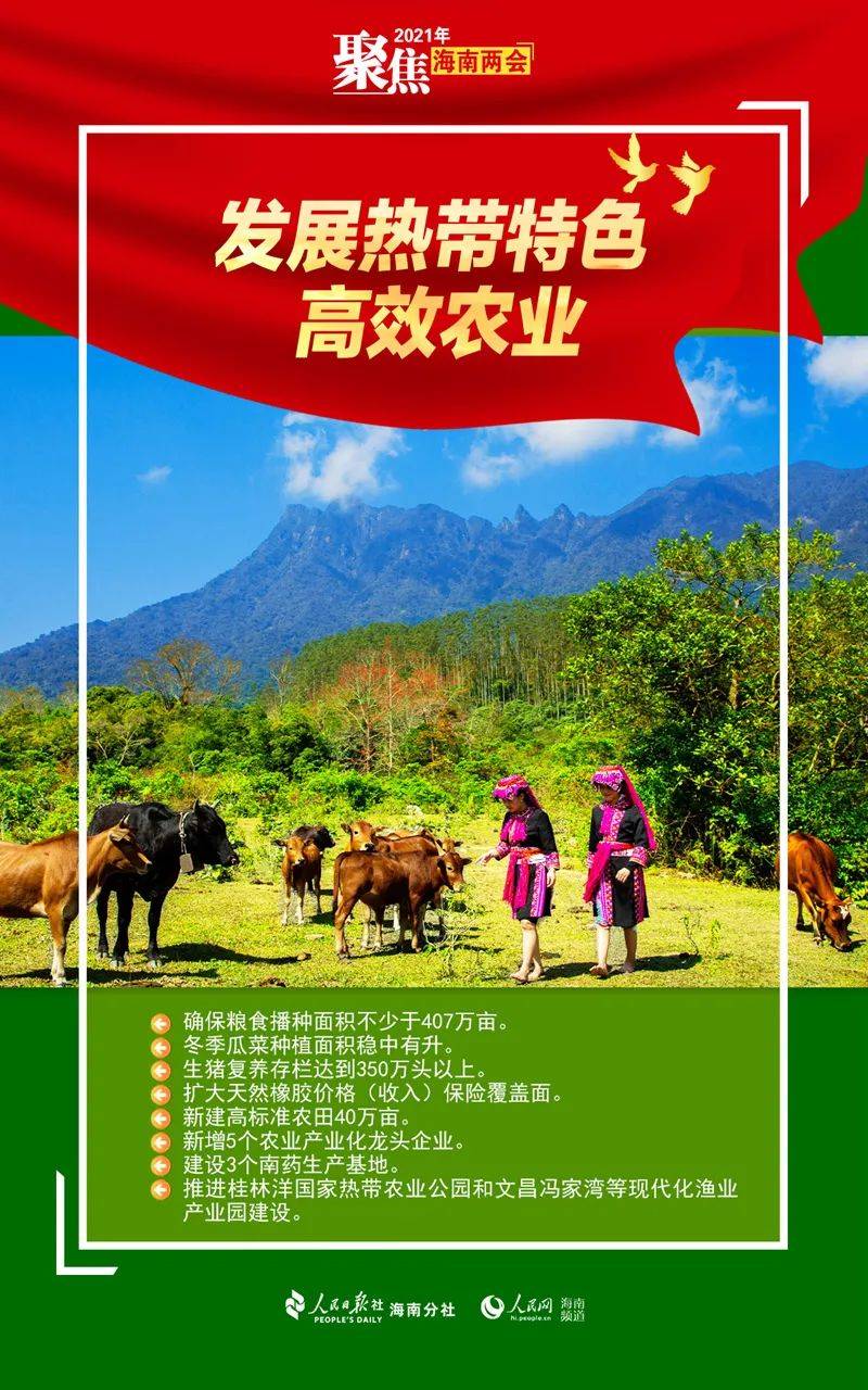 图说海南政府工作报告中乡村振兴那些事