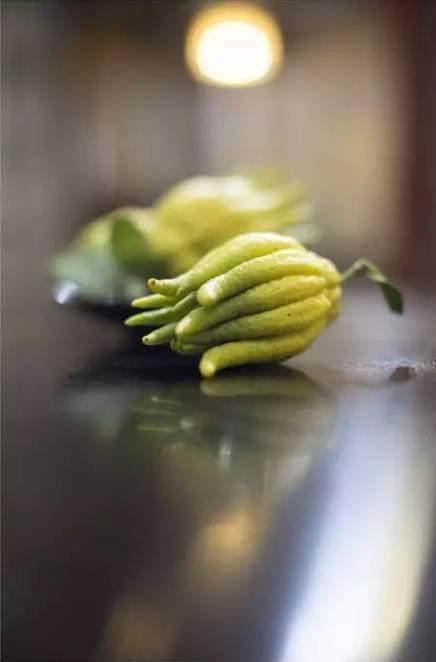 佛手香中君子清供雅物