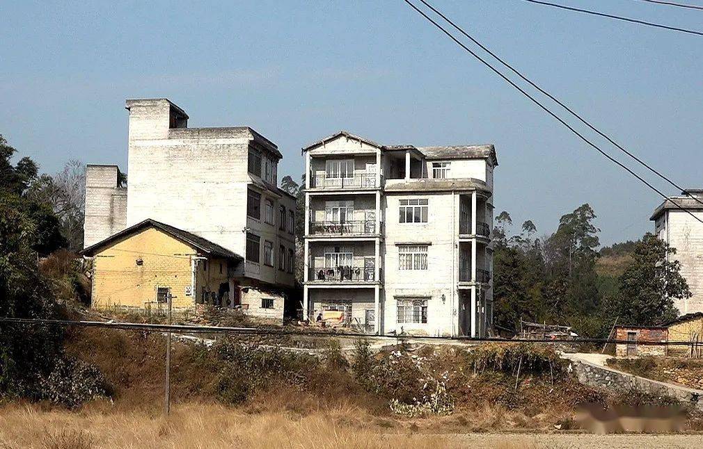 脱贫感党恩奋进新起点黄村镇林秀村因地制宜02撬动村级集体经济发展